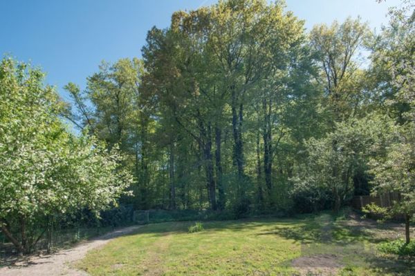 Traumgrundstück in bester Waldrandlage von Langen - provisionsfrei
