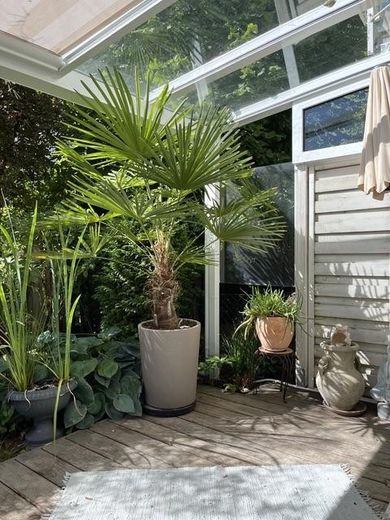 3-4 Zi Gartenoase, 2 Holzterrassen, Glasdach, Pavillon, Wallbox – Terrassenausschnitt