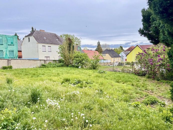 HORN IMMOBILIEN ++ Ein Haus für viele Möglichkeiten in Brüssow bei Löcknitz – Garten