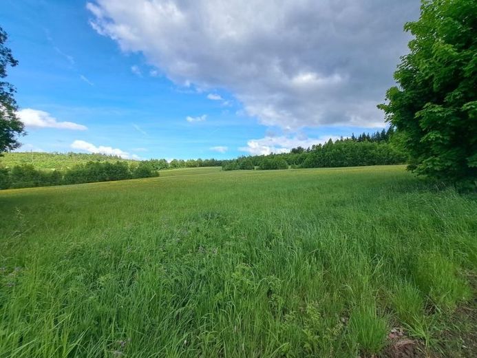 Entwicklungsfläche für touristische Zwecke: 33.621 m² - direkt am Frankenwaldsee / Seebühne - 95192 Lichtenberg – Foto 1
