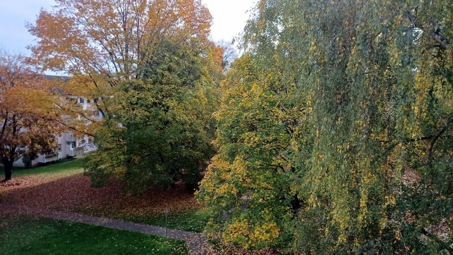 Ausblick Grünanlage