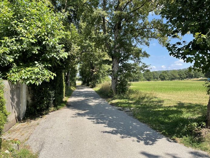 Paradies in Alleinlage – Zufahrt von Norden