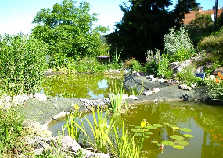 Natur-Garten
