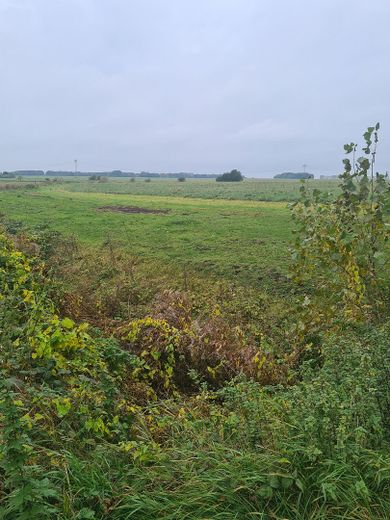Investmentchance auf Rügen: Mehrfamilienhaus + ca. 3.087 m² Grundstück, Wasser-/Ostseenähe – Aussicht