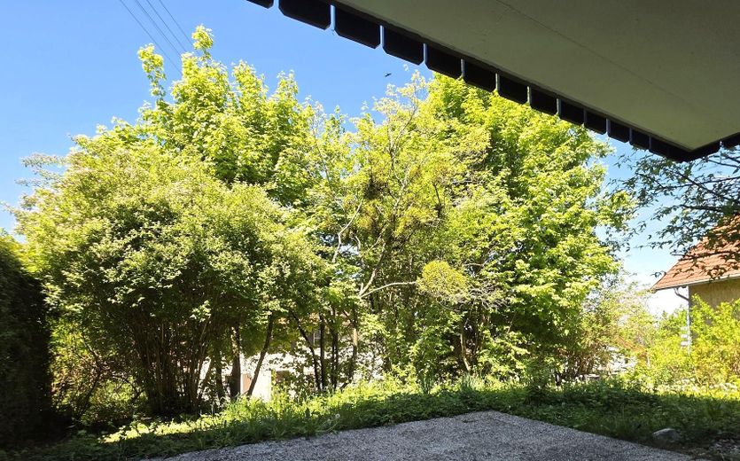 Blick in den eigenen Garten