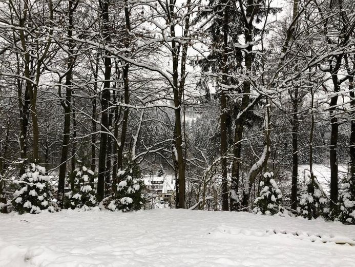 Casa vacanze nell'Harz investimento di capitale / immobile a reddito sauna – Foto 1