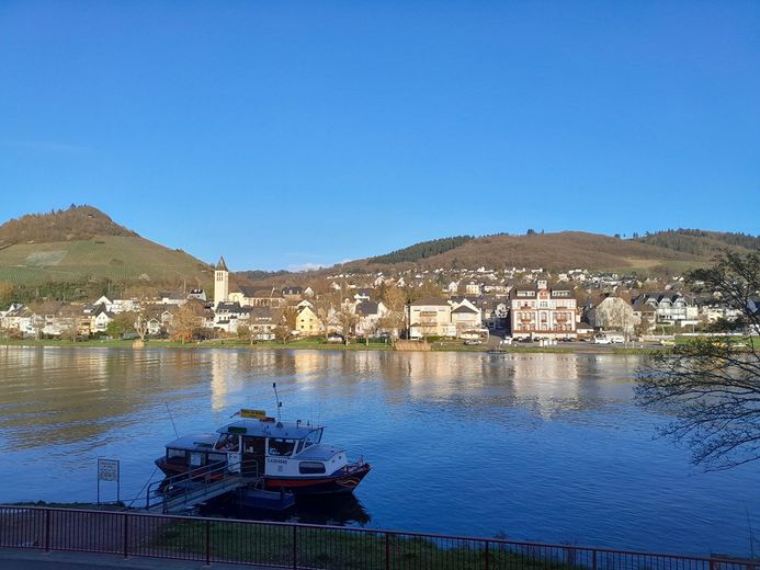 Mosel-Promenade Großzügiges Anwesen für Individualisten – Foto 22