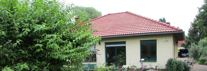 Sie sehen links die Magnolie