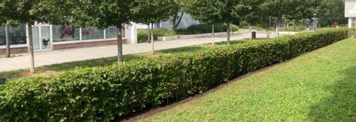 سكن مريح في الطابق الأرضي