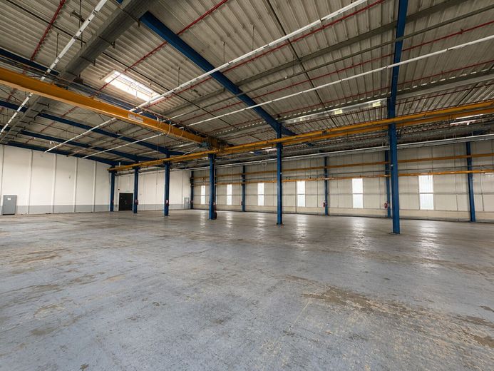 Sofort verfügbare Gewerbehalle mit vielseitigen Nutzungsmöglichkeiten – Halle v2