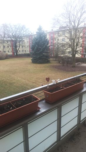 Blick vom Balkon ins Grüne