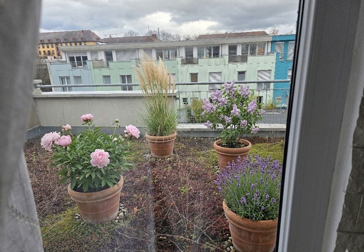 RMH in Aschaffenburg-Schweinheim – Terrasse Hinten