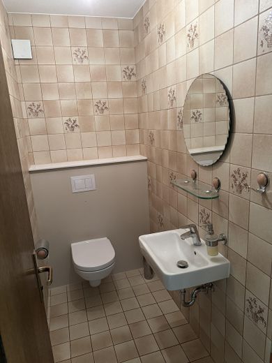 Gäste WC im EG