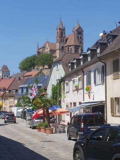 Breisach-Sicht aufs Münster