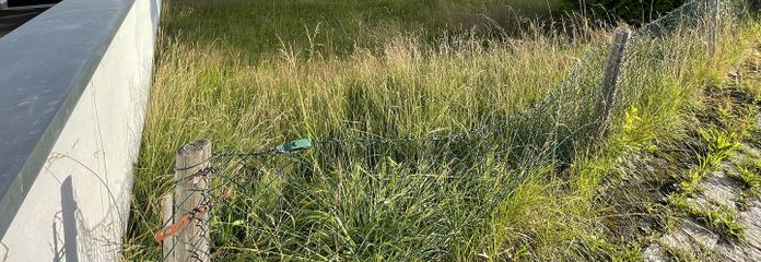Ruhiges Baugrundstück in Aystetten - von Privat – Grundstück 1