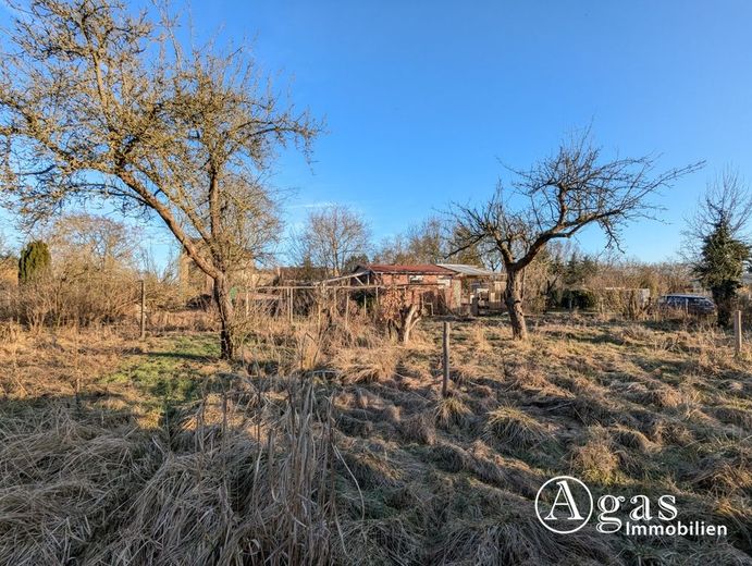 Bauträgerfreies Grundstück in Beelitz für Ihr Traumhaus – Grundstück Blick nach Osten