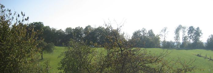 IHRE NEUE WOHNUNG IN IDYLISCHER LAGE