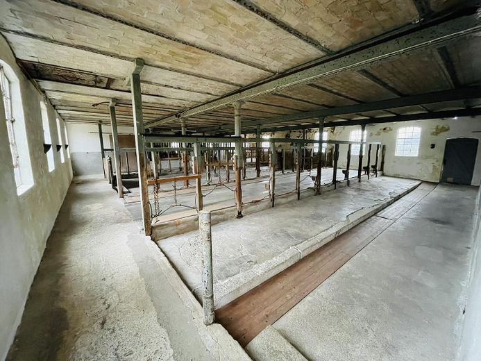 Nutzraum - Stallung 1