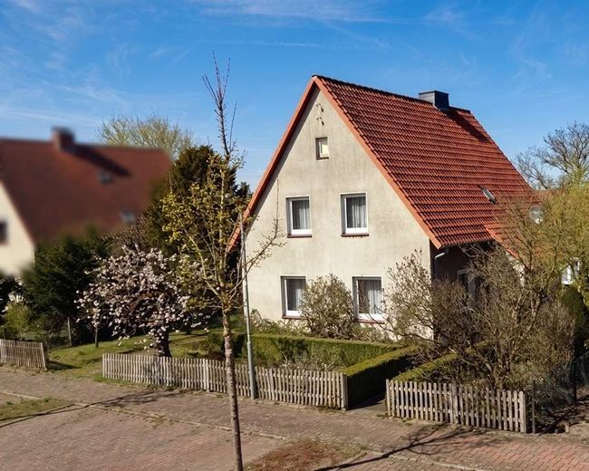 Eldingen - Verborgene Perle: Einfamilienhaus + Garten + Obstbäume - wer erweckt mich zu neuem Leben – Aussenansicht 3