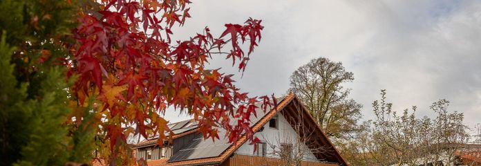 Appartement calme de 3 pièces avec cuisine équipée et balcon à Harpolingen/Bad Säckingen
