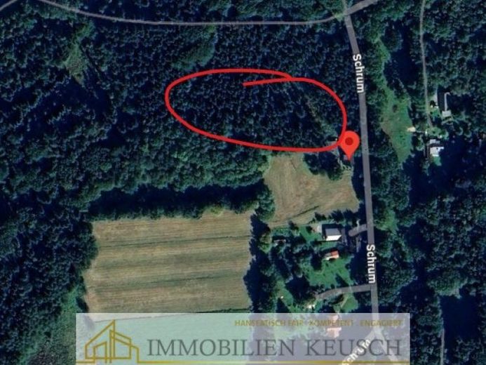 Preis deutlich reduziert! Eigenes Waldgrundstück in ruhiger Randlage von Hambergen – Foto 1