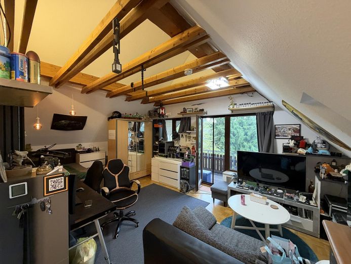 1-Zimmer Apartment mit Balkon, Küche und Stellplatz – Wohn-Schlafbereich