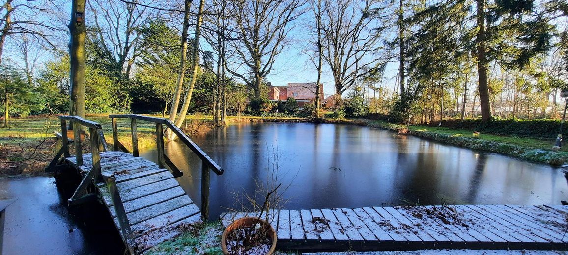 Teich 275 m²