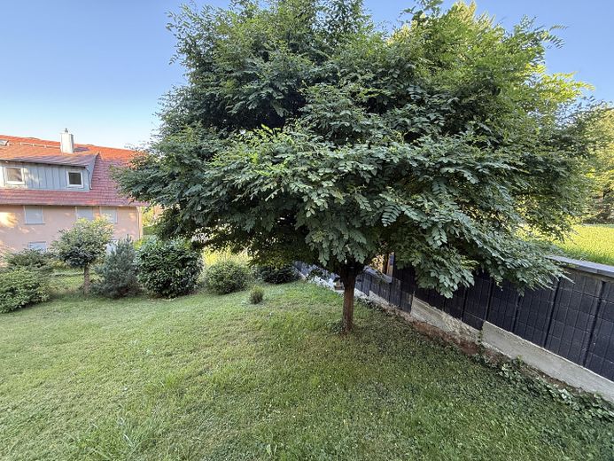 Modernisiertes Einfamilienhaus mit besonderem Charme – Foto 3