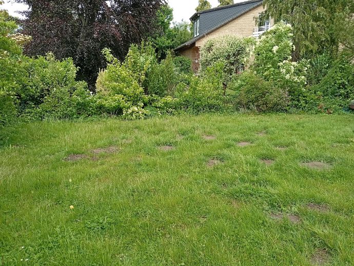 der Garten