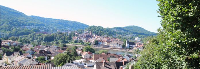 Baugrundstück mit Neckarblick in begehrter Lage von Kleingemünd – Aussicht auf den Neckar