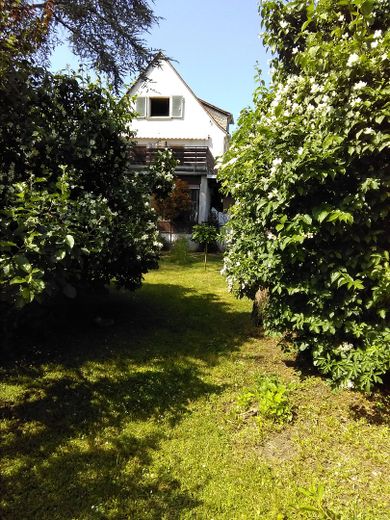 Worms Innenstadt-West'te müstakil 1 aile evi, büyük bahçe – vom Garten aus gesehen