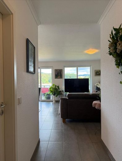 Exclusivo apartamento de 2 habitaciones con balcón de 22 m2 en primera línea del Rin – Foto 9