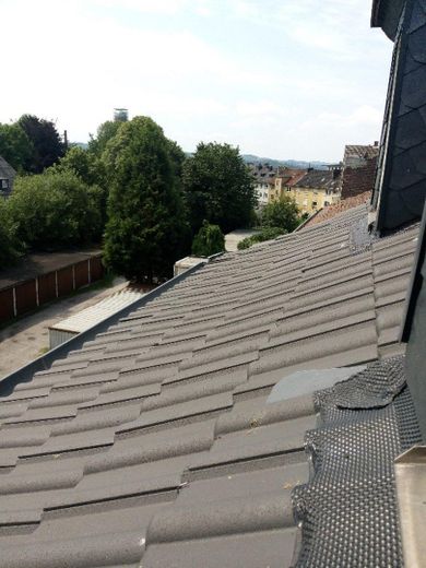 2,5-Zimmer-Wohnung in der Nähe des Lutherparks – Blick aus dem Fenster