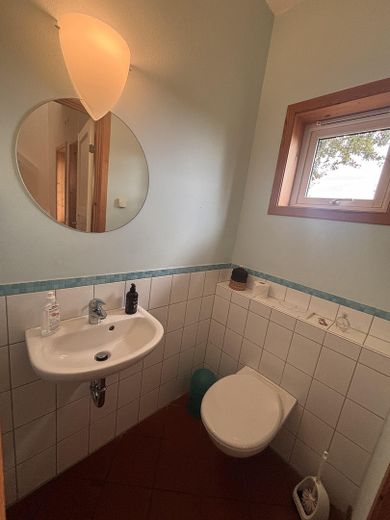 Beautiful Norwegian Wooden House – Gäste WC