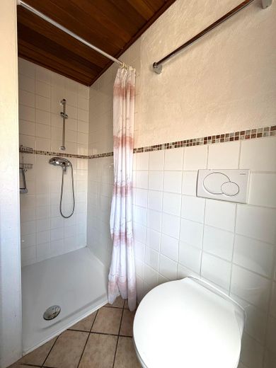 2 tolle Häuser * Neu- und Altbau * in Freisbach – Vorderhaus: Gäste-Bad
