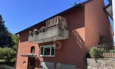 DOCHÓD Z DUŻĄ DZIAŁKĄ NAD RENEM – 1788771218_8f2252.jpg