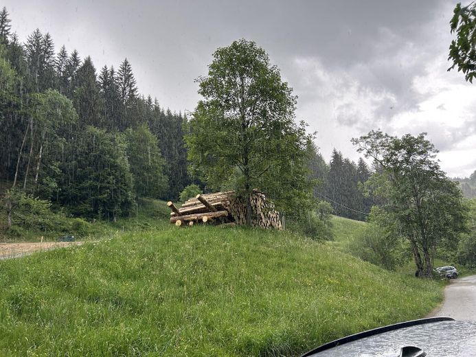 "Sonnenplateau" Grundstück mit Baugenehemigung in Traumlage im Herzen des Oberallgäus – Blick von Strasse 