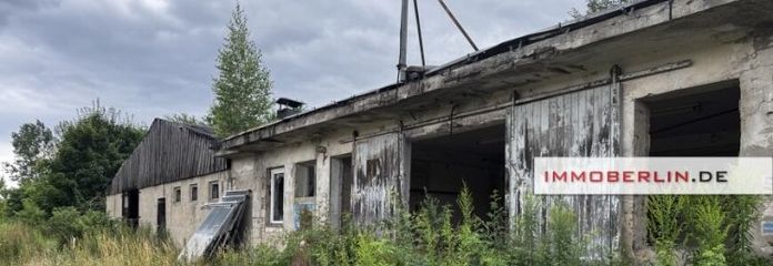 IMMOBERLIN.DE - 5,3 Hektar für die Land- und/oder Forst- bzw. Energiewirtschaft