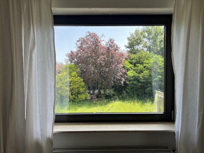 Hell und großzügig geschnitten - Freistehendes Einfamilienhaus mit Garten und Kamin – Blick in den Garten