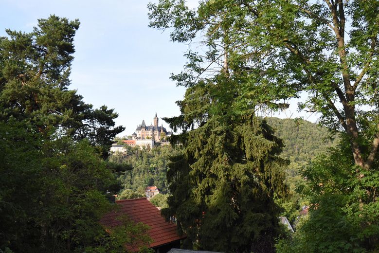 Mały dom jednorodzinny w stylu bungalow – Blick vom Wintergarten 