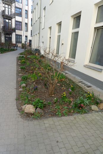 Ruhige Zweizimmerwohnung in beliebter Gegend in Berlin Kreuzberg – Innenhof