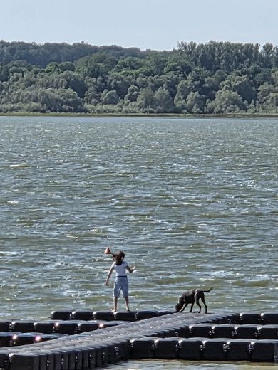 Inwestycja kapitałowa z potencjałem rozwoju – 4 miesz. + lokal użytkowy – Górne Łużyce – Foto 5