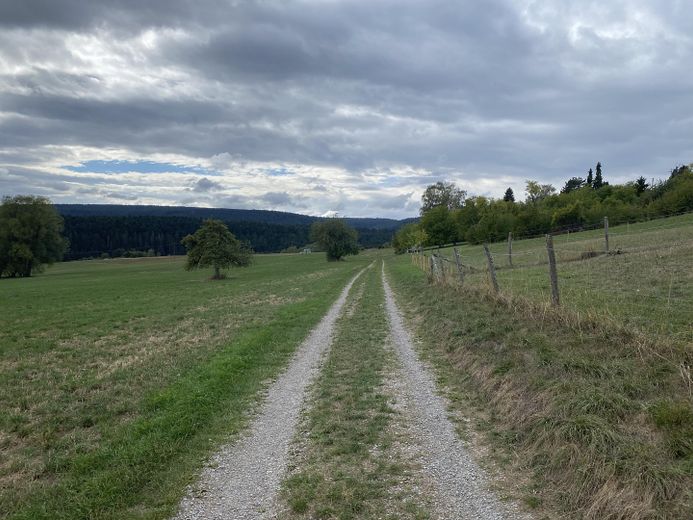 Furnished apartment (75 m²) with fabulous views – Nähere Umgebung