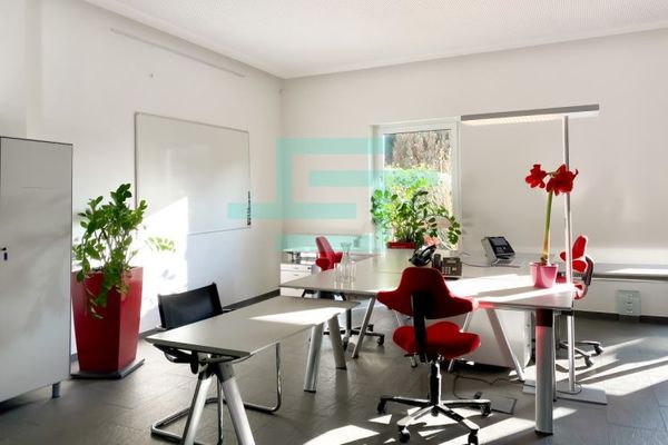 Uffici singoli e per gruppi, coworking, uffici con servizio d’ufficio per 1-5 persone a Grünwald