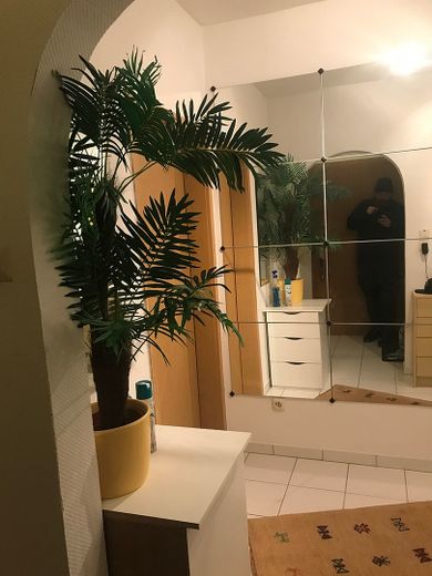 Biete Helle 2 Zimmer Wohnung von Privat in ruhige Lage in Tännesberg mit Terrasse,Grillgarten Mitbenutzung und Stellplatz sowie Keller. Wohnung sehr gut geteilt und Vollmöbliert.70000€ vhb. 015111378015 – Foto 1