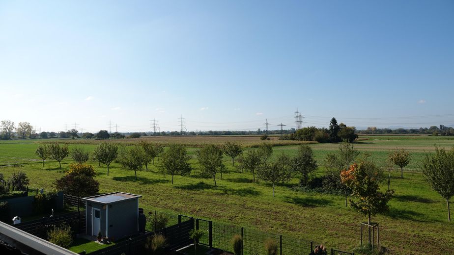 Blick Richtung Europapark