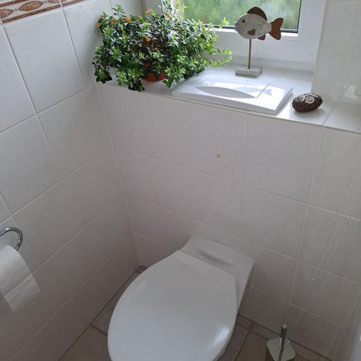 Gäste-WC mit Fenster