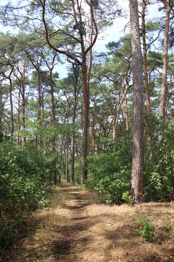 منزل متصل في الصف الأوسط بالقرب من البحيرة *بدون عمولة* – Wald