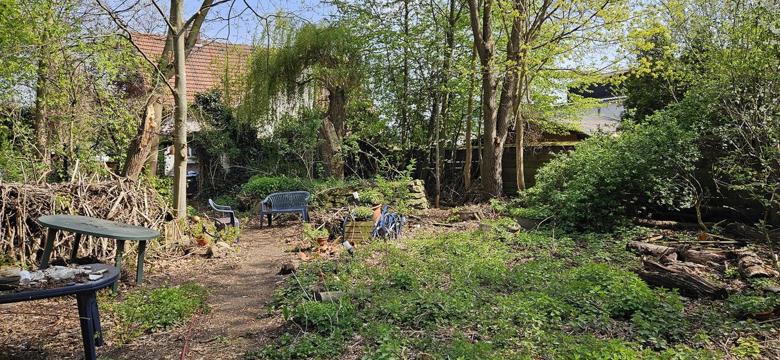 Blick aus dem Garten