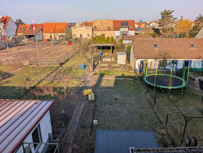 Blick in den Garten